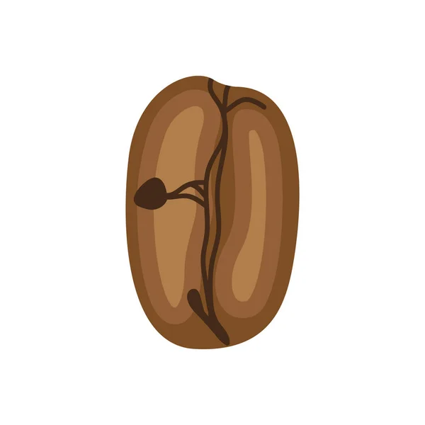 Grano de café semilla — Vector de stock