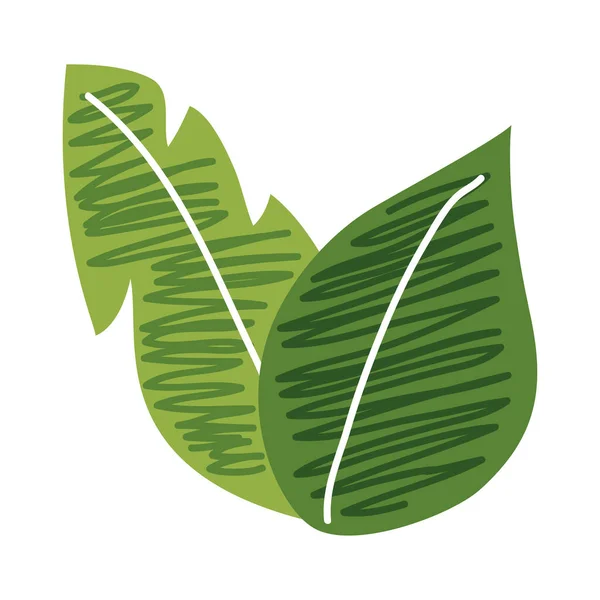 Növényi levelek ikon — Stock Vector