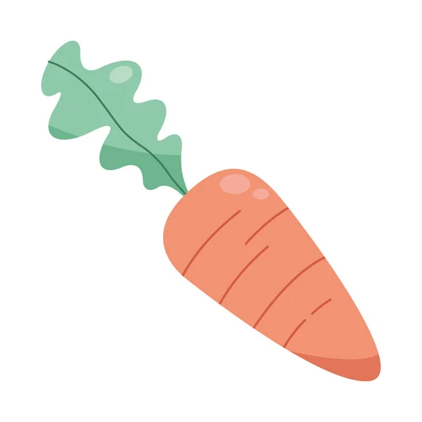 Isolerade morotsgrönsaker — Stock vektor