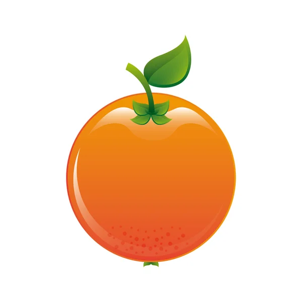 Diseño de frutas — Vector de stock