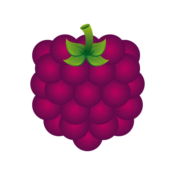 Diseño de frutas — Vector de stock