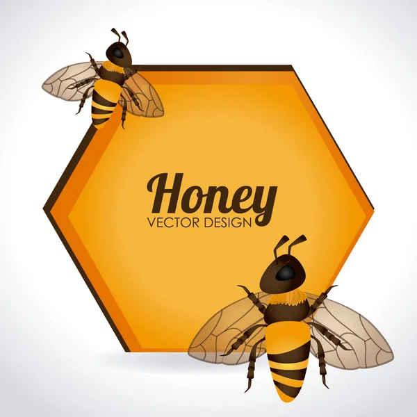 Design miel — Image vectorielle