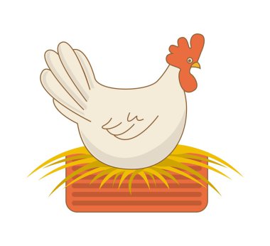 çiftlik taze tasarım