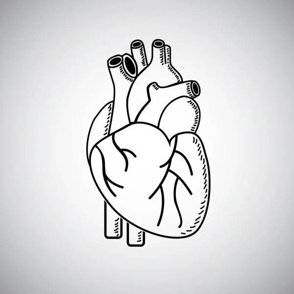 심장 — 스톡 벡터