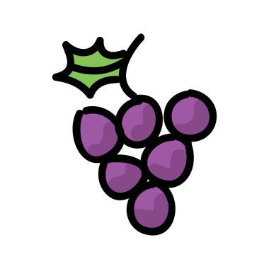 üzüm vektör