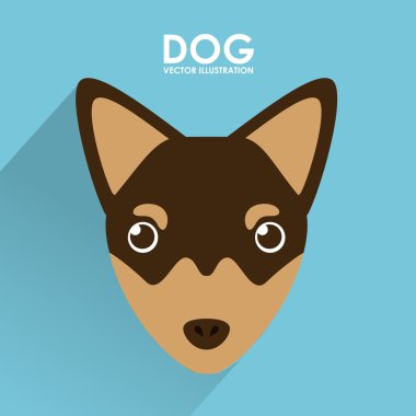 köpek tasarım