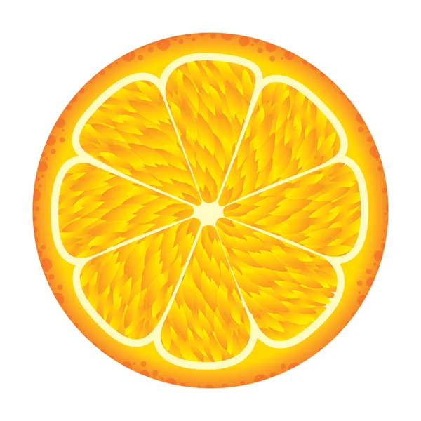 Frukt illustration — Stock vektor
