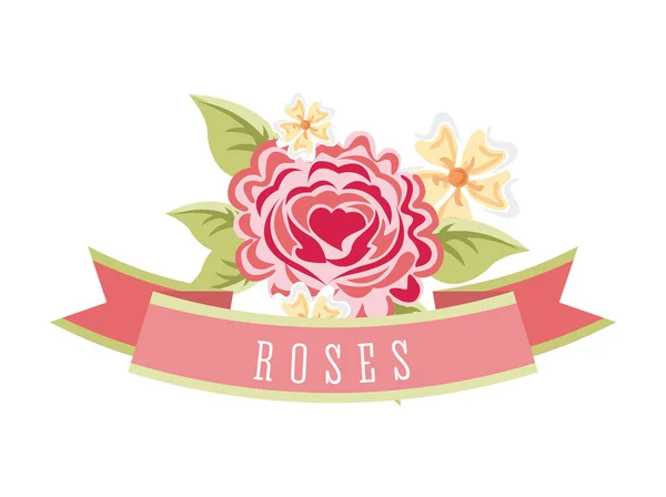 Roses design — Stock Vector