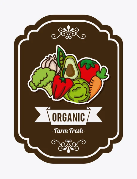 Органические продукты питания — стоковый вектор