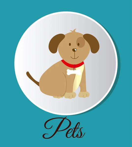 Pets design — Stock Vector