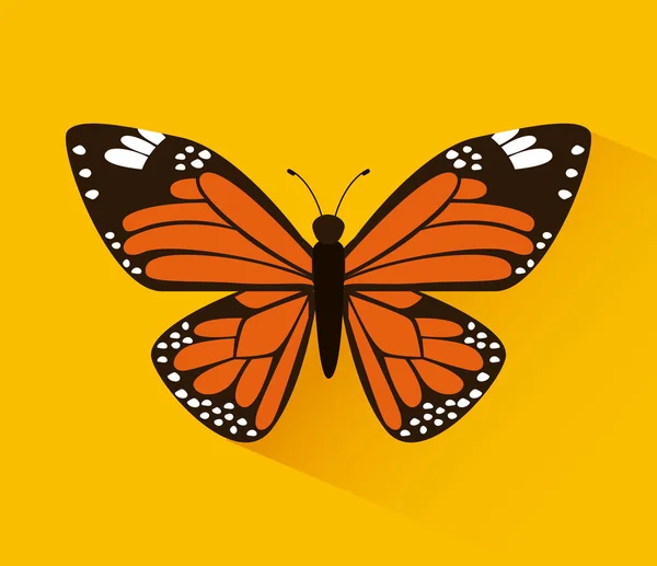 Diseño de mariposa — Vector de stock