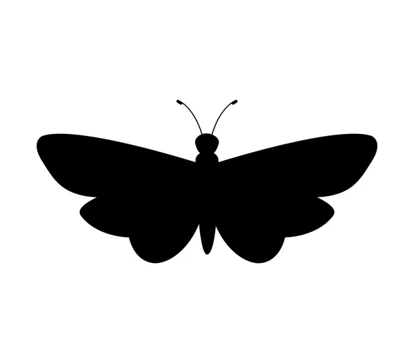 Desain kupu-kupu - Stok Vektor