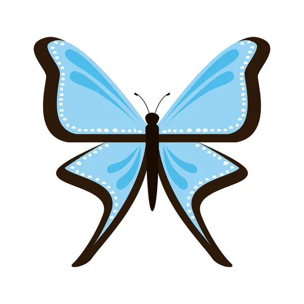 Diseño de mariposa — Vector de stock