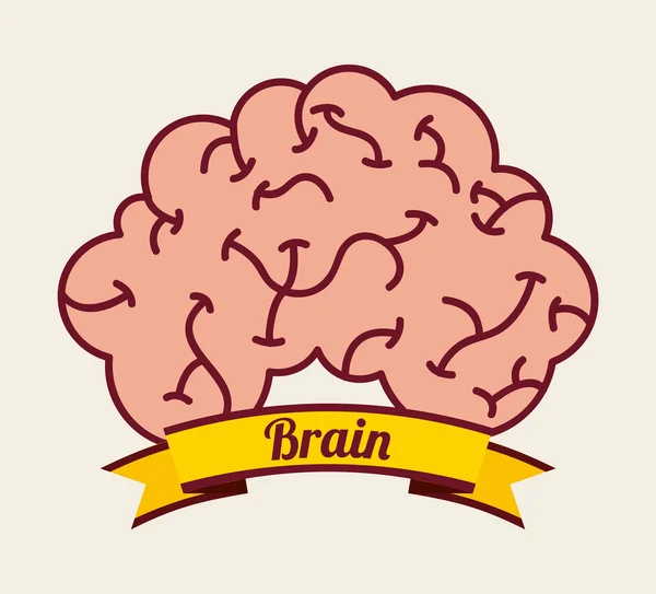 Desenho do cérebro — Vetor de Stock