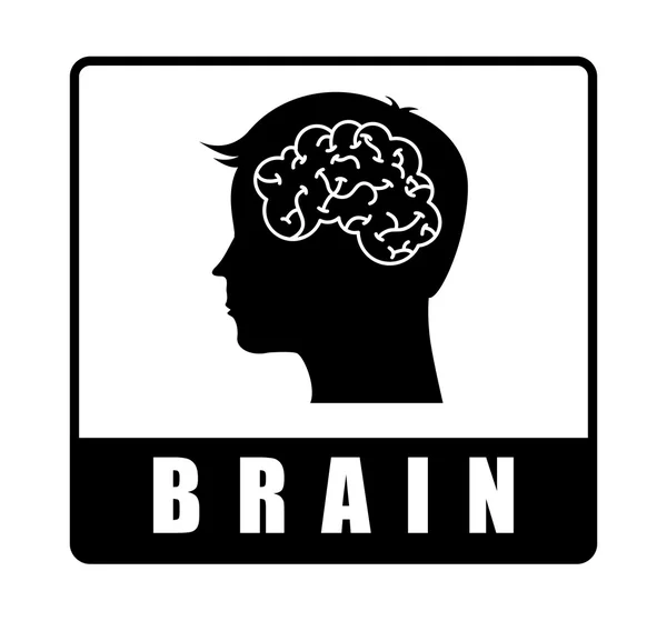 Brain design — Stock Vector