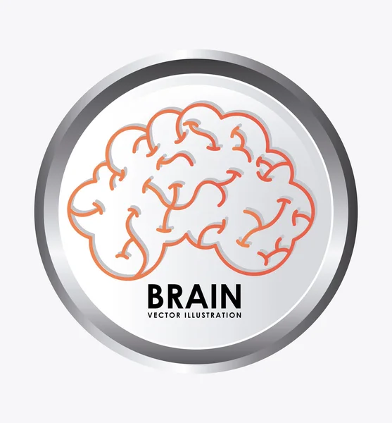 Brain design — Stock Vector