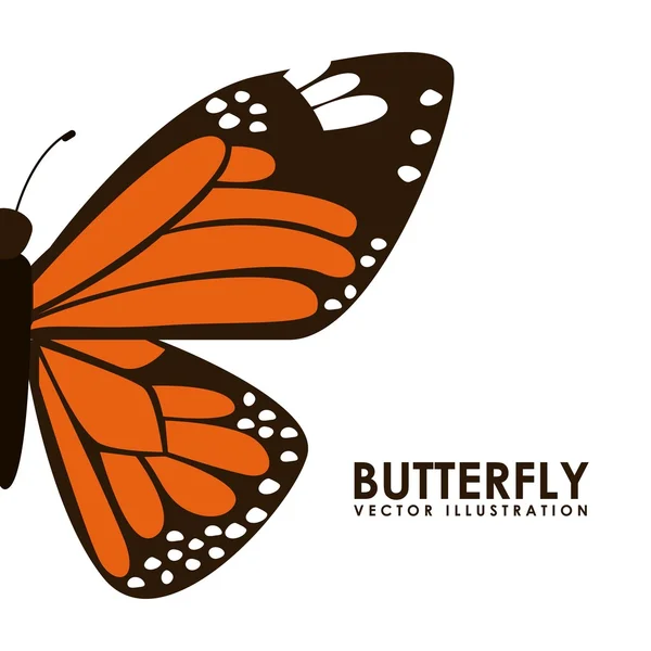 Diseño de mariposa — Vector de stock