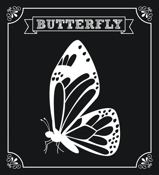 Butterfly design — Stock Vector