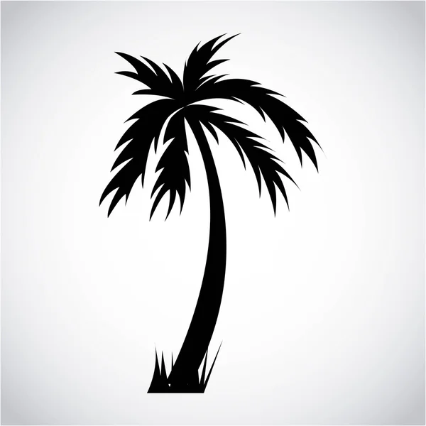 Diseño de palmera árbol — Vector de stock