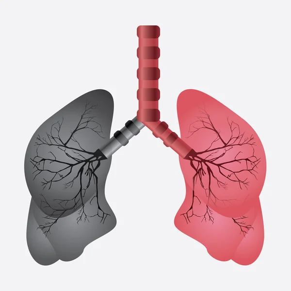 Lungen-Design — Stockvektor