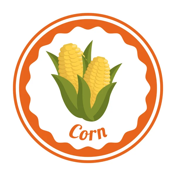 Corn design — Stock Vector