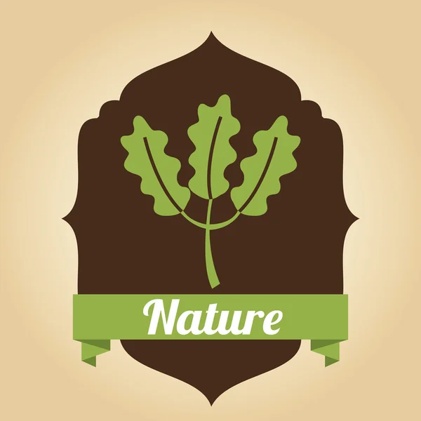 Diseño de naturaleza — Vector de stock