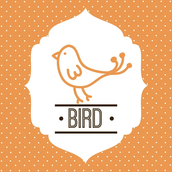Vogeldesign — Stockvektor
