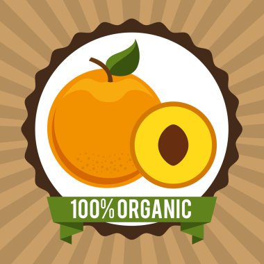 Organik sağlıklı gıda tasarım 