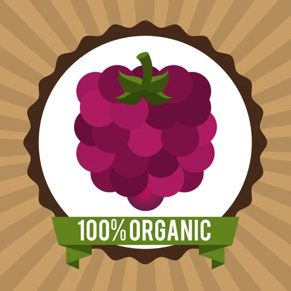 Diseño orgánico de alimentos saludables — Archivo Imágenes Vectoriales