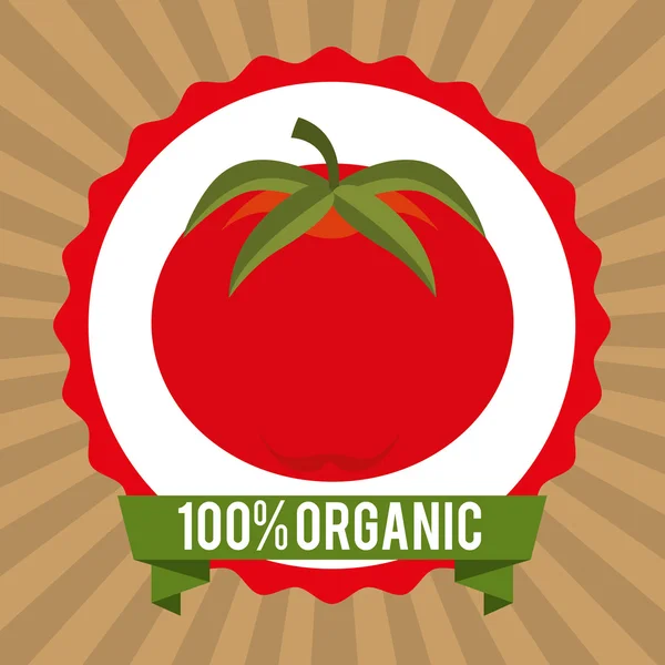 Desain makanan sehat organik - Stok Vektor