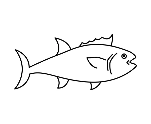 Diseño de peces — Vector de stock