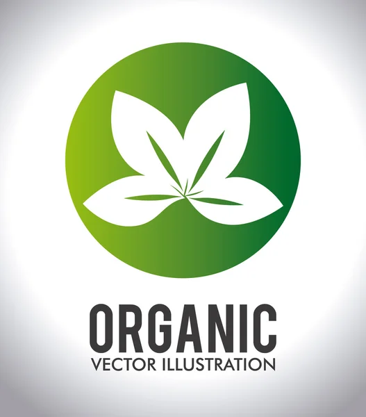 Diseño ecológico — Vector de stock