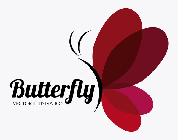फुलपाखरू डिझाइन, वेक्टर स्पष्टीकरण . — स्टॉक व्हेक्टर