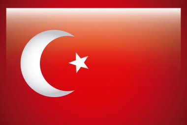 Türkiye'nin bayrak tasarım
