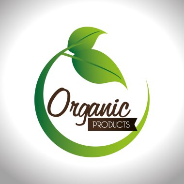 Gıda tasarım, vektör çizim.