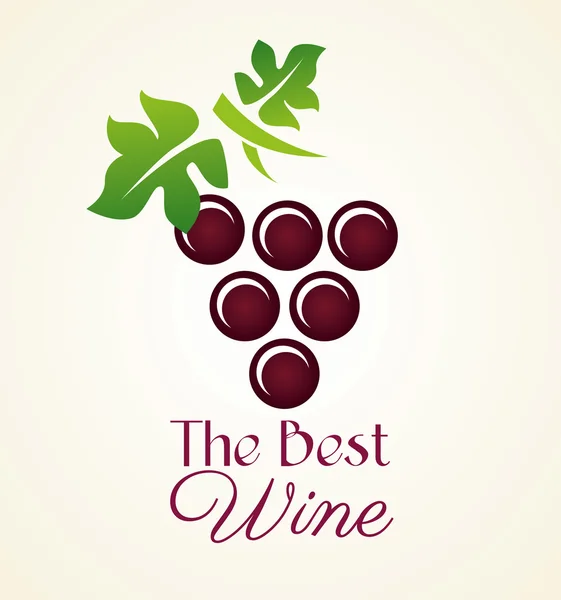 Conception de vin sur fond blanc illustration vectorielle — Image vectorielle