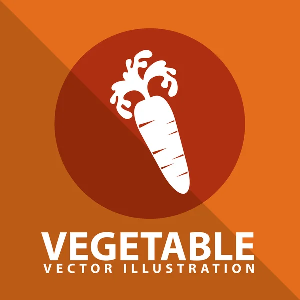 Vegetable — Stock Vector