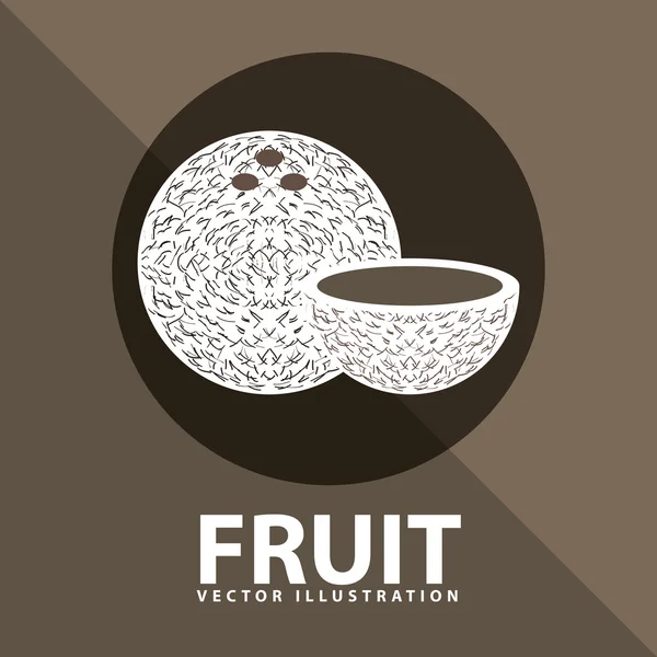 Fruit icon — Stock Vector