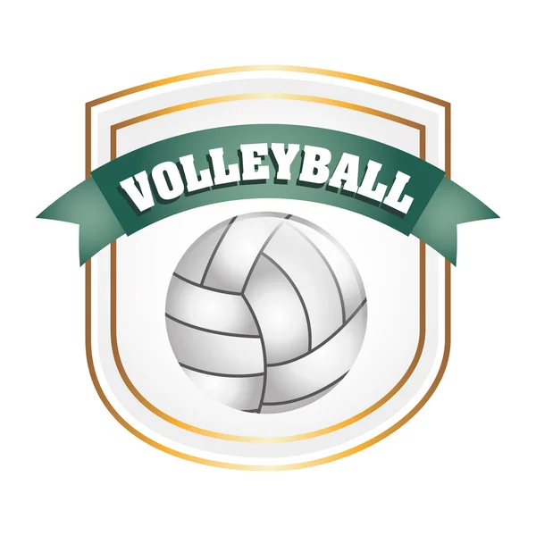 Pallavolo palla — Vettoriale Stock