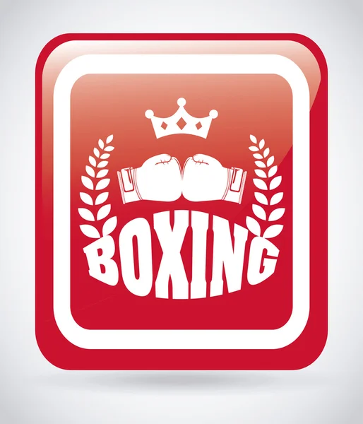 Boxeo deporte — Vector de stock