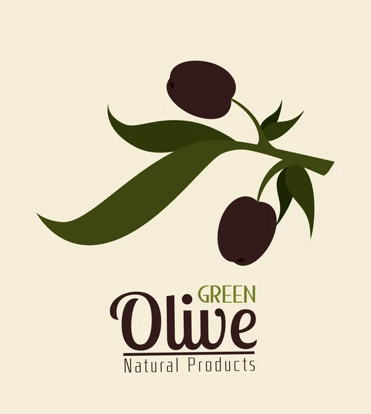 Diseño del aceite de oliva, ilustración vectorial . — Archivo Imágenes Vectoriales