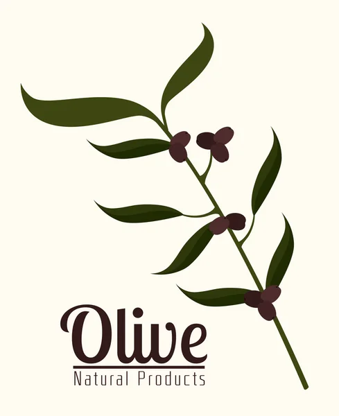 Diseño del aceite de oliva, ilustración vectorial . — Archivo Imágenes Vectoriales