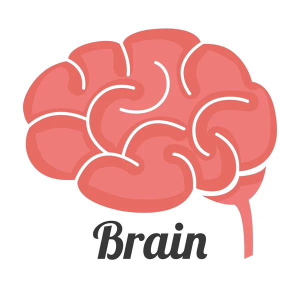 Hersenen ontwerp, vectorillustratie. — Stockvector