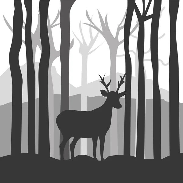 Forest design, vector illustration. — Stock Vector