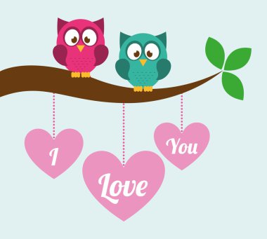 Baykuşlar seviyorum 