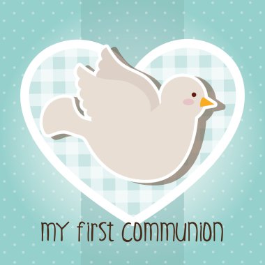 İlk Komünyonum 