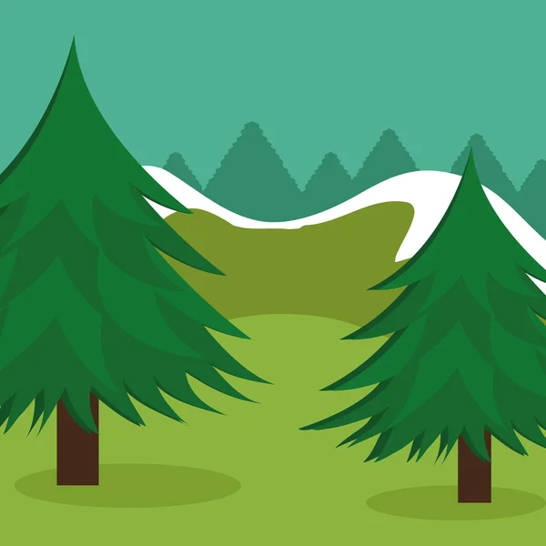 Diseño forestal, ilustración vectorial . — Vector de stock