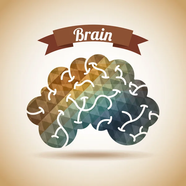 Kreatives Gehirn — Stockvektor