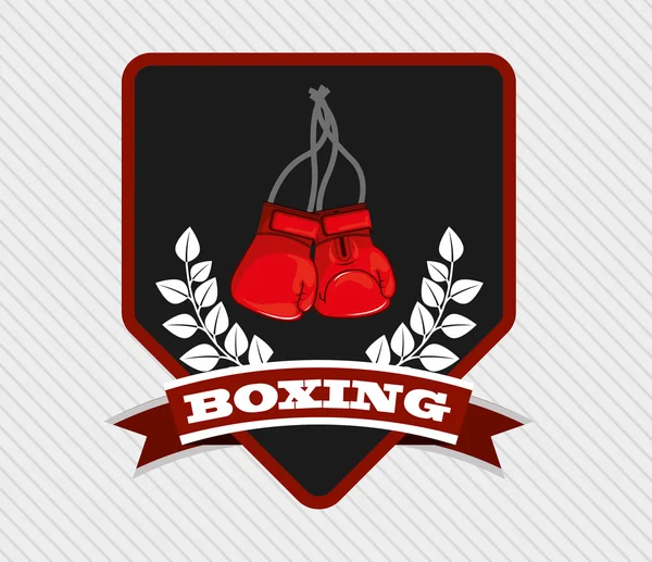 Emblema de boxeo — Archivo Imágenes Vectoriales