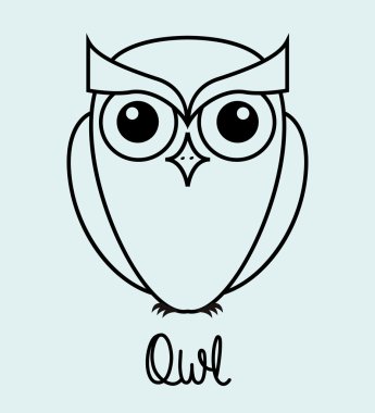 owl bird 